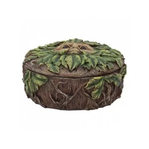 Image of Eyes of the Forest Storage Box