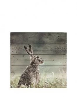 Image of Graham & Brown Hare Print On Wood