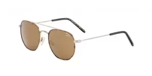 Image of Jaguar Sunglasses 37454 6000