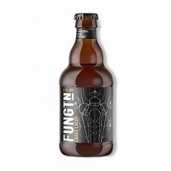 Image of Fungtn Chaga Lager - 330ml