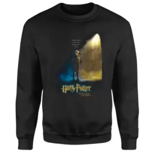 Image of Harry Potter Chamber Of Secrets - Dobby Sweatshirt - Black - M - Black