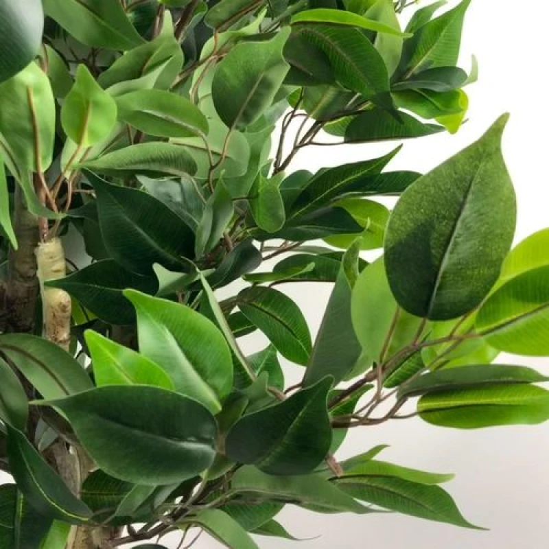 Image of Leaf 110cm Artificial Evergreen Ficus Tree Gold Curve Planter