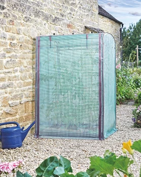 Image of Tomato GroZone Max - Double Sided