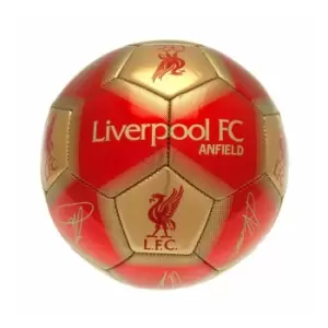Image of Liverpool FC Signature Skill Ball (One Size) (Red/Gold)