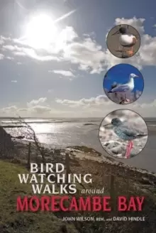 Image of Birdwatching Walks Around Morecambe Bay