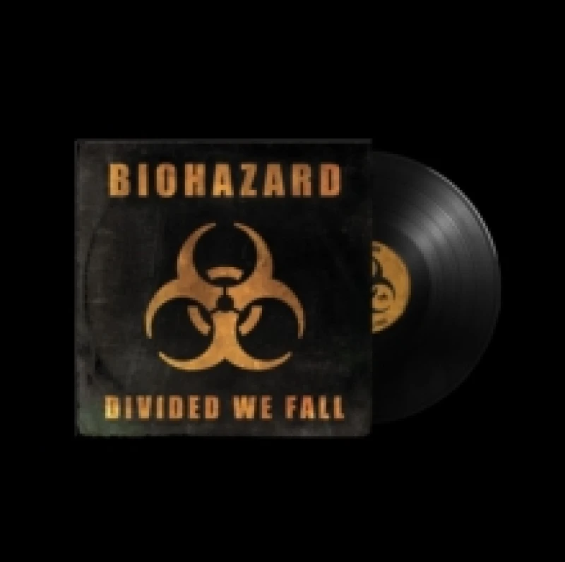 Image of Divided We Fall Vinyl