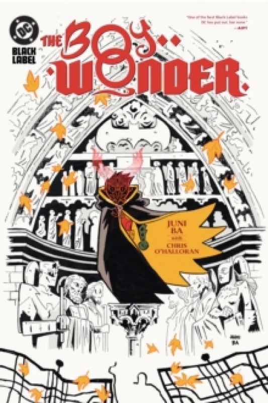 Image of The Boy Wonder Hardback