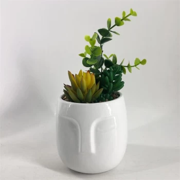 Image of Stanford Home Home Succulent Pot - Face Ceramic