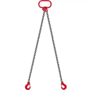 Image of VEVOR 2m x 2 Leg x 8mm Lifting Chain Sling 2 Tonne High Temperature Resistance Wearproof G80