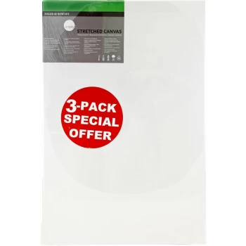Image of Daler Rowney Simply Canvas Pack of 3 - 40 x 50cm / 16 x 20"