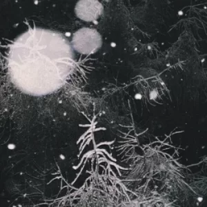 Image of Over the Voids by Over the Voids... Vinyl Album