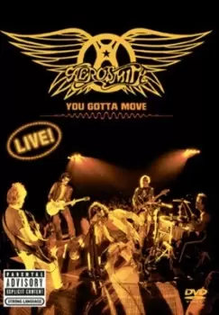 Image of Aerosmith You Gotta Move - DVD