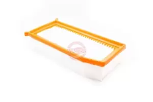 Image of MASTER-SPORT Air filter RENAULT,DACIA,LADA 27029-LF-PCS-MS 165460509R,165467674R,165469843R Engine air filter,Engine filter