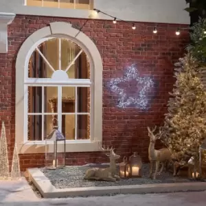 Image of The Winter Workshop - 80Cm Starburst Christmas Star - Cool White