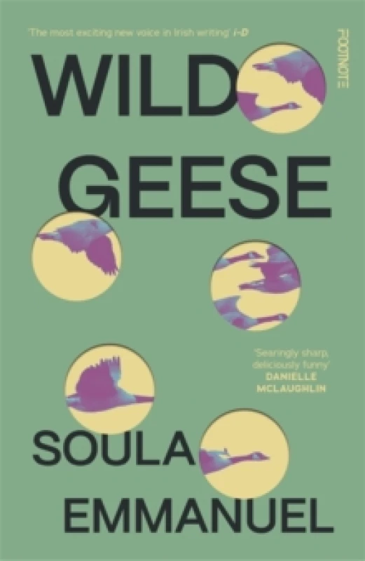 Image of Wild Geese : the LAMBDA and GORDON BOWKER VOLCANO PRIZE winner Paperback / softback