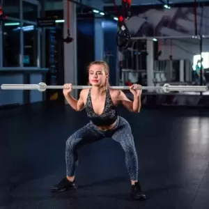 Image of Homcom Fitness Steel Barbell Bar W/ Spring Collars Weight Bar Home Office Gym