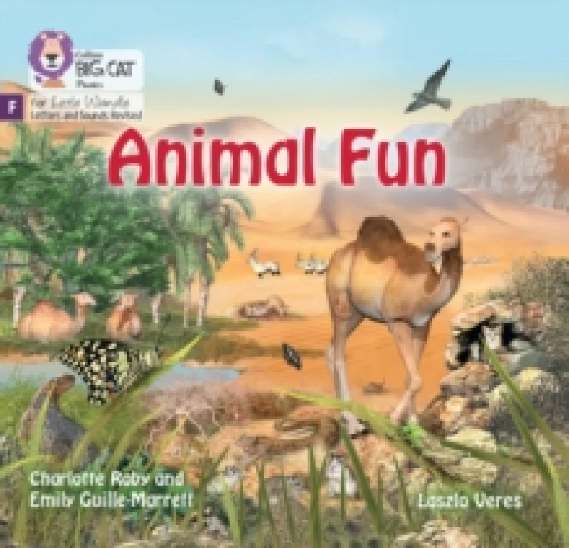 Image of Animal Fun : Foundations for Phonics Paperback / softback