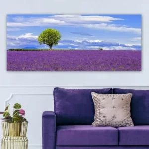 Image of YTY580755_50120 Multicolor Decorative Canvas Painting