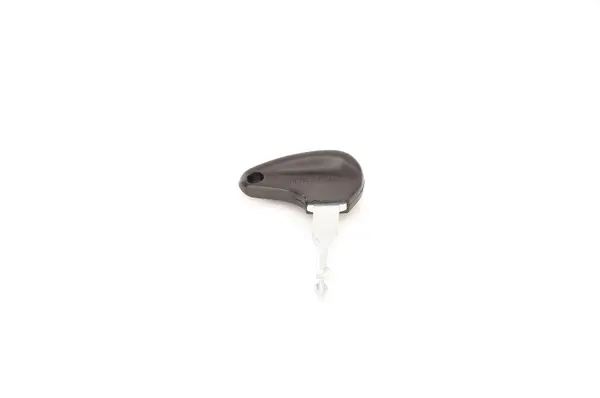 Image of Bosch Key 3 341 982 101