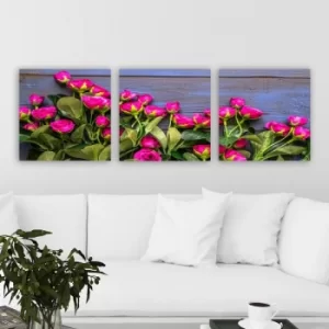 Image of P332641 Multicolor Decorative Canvas Painting (3 Pieces)