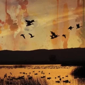 Image of Fading by Stellar Descent CD Album