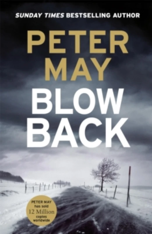 Image of Blowback : The exciting penultimate case in the addictive crime series (The Enzo Files Book 5) Paperback / softback