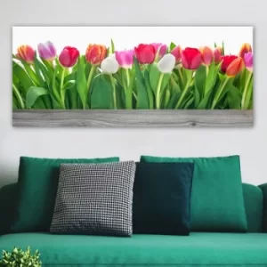 Image of YTY418687_50120 Multicolor Decorative Canvas Painting