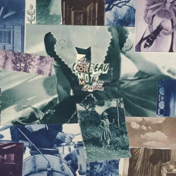 Image of Le Corbeau - Moth On the Headlight Vinyl