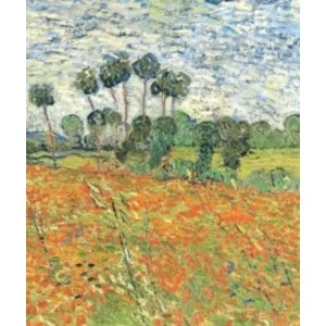 Image of Raven Biology of Plants