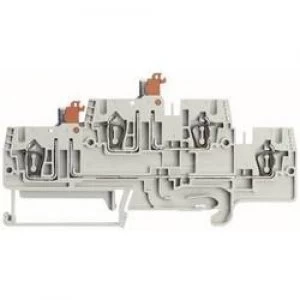 Image of Wieland 56.703.6555.0 WKFN 25 TKM E135 Grau 0.14 4 mm2 Grey