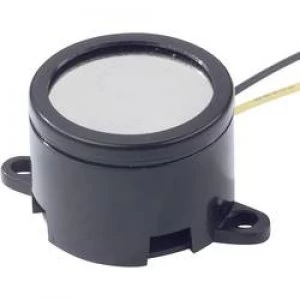 Image of miniature buzzer