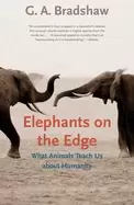 Image of elephants on the edge what animals teach us about humanity