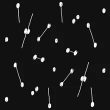 Image of Dance of a Trillion Stars