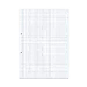 Image of RHINO A4 Punched Exercise Paper 1000 Pages 500 Leaf 5mm Squared