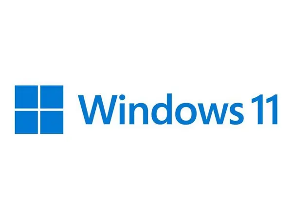 Image of Windows 11 Pro N - License - 1 License