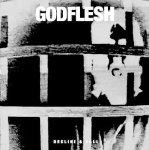 Image of Godflesh - Decline & Fall CD Album - Used