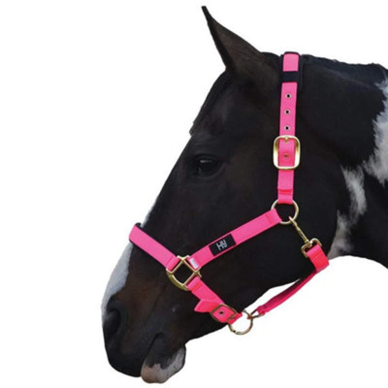 Image of Hy Deluxe Padded Head Collar Hot Pink (Xs)