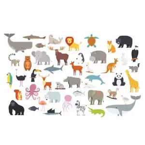 Image of Origin Murals Animal Collection Multi Wall Mural - 3.5 x 2.8m