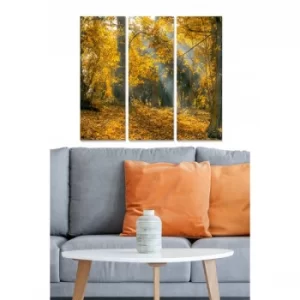 Image of MDF2444046 Multicolor Decorative MDF Painting (3 Pieces)