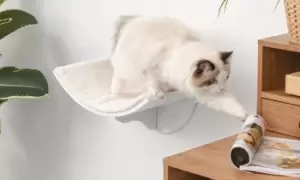 Image of PawHut Wooden Wall-Mounted Bed for Cats