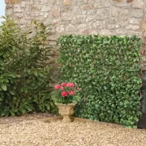 Image of Garden Gear Laurel Leaf Folding Hedge Trellis 1X2M