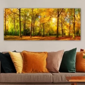 Image of YTY812718_50120 Multicolor Decorative Canvas Painting