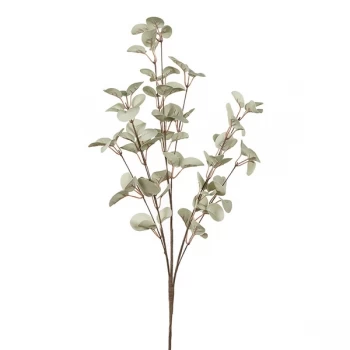 Image of Pale Green Leaves On Branch By Heaven Sends