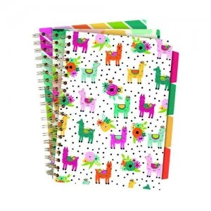 Image of Pukka Colour Wash Project Books B5 Assorted Pack of 3 9032-CD