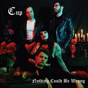 Image of Cup - Nothing Could Be Wrong Vinyl