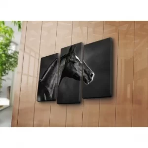 Image of 3PATK-12 Multicolor Decorative Canvas Painting (3 Pieces)