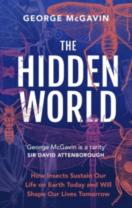 Image of The Hidden World : How Insects Sustain Life on Earth Today and Will Shape Our Lives Tomorrow Paperback / softback