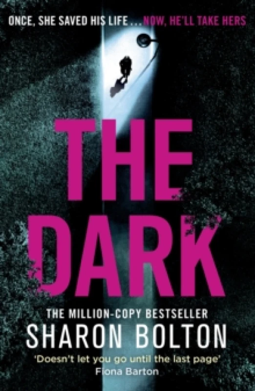 Image of dark a compelling heart racing up all night thriller from richard and judy 9781409198369