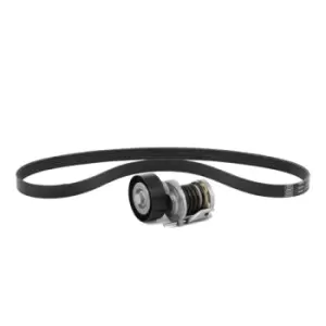 Image of INA V-ribbed belt set Check alternator freewheel clutch & replace if necessary 529 0535 10 Serpentine belt kit,Auxiliary belt kit VW