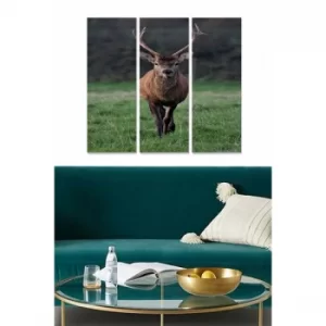 Image of MDF2168278 Multicolor Decorative MDF Painting (3 Pieces)